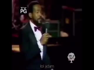 cat jumping from horn to marvin gaye - lets get it on